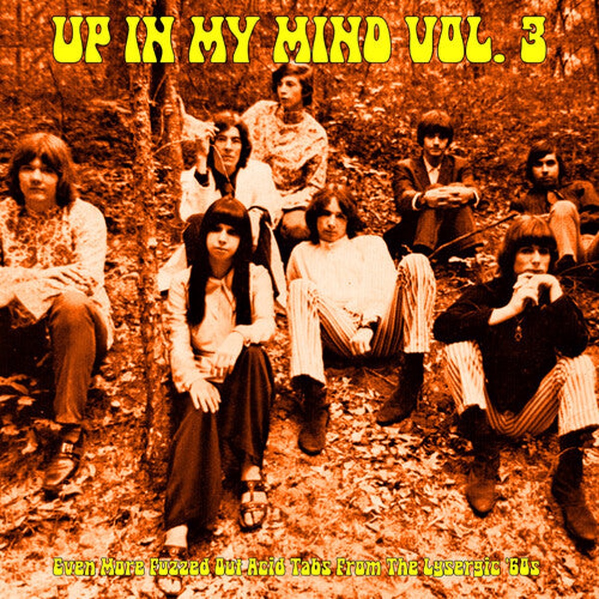 Various Artists: Up In My Mind Vol. 3: Even More Fuzzed Out Acid Tabs From The Lysergic ’60S (Various Artists) – VINYL LP