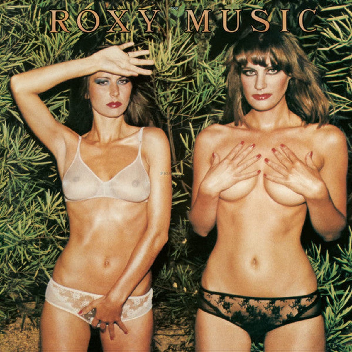 ROXY MUSIC – COUNTRY LIFE : HALF-SPEED MASTER (2022) – LP