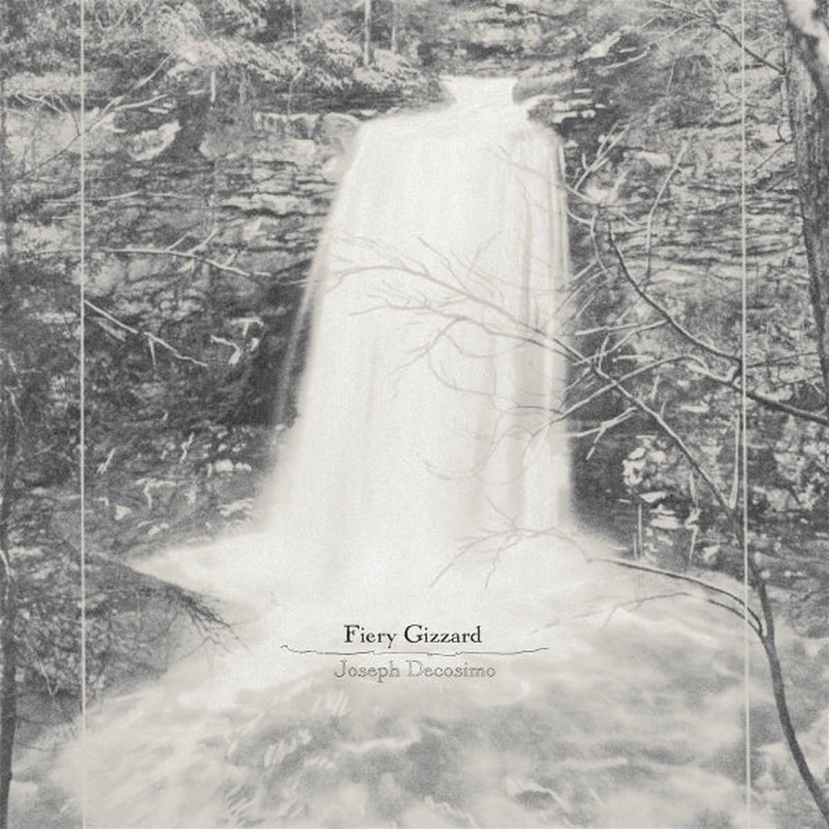 Joseph Decosimo – Fiery Gizzard (LP)