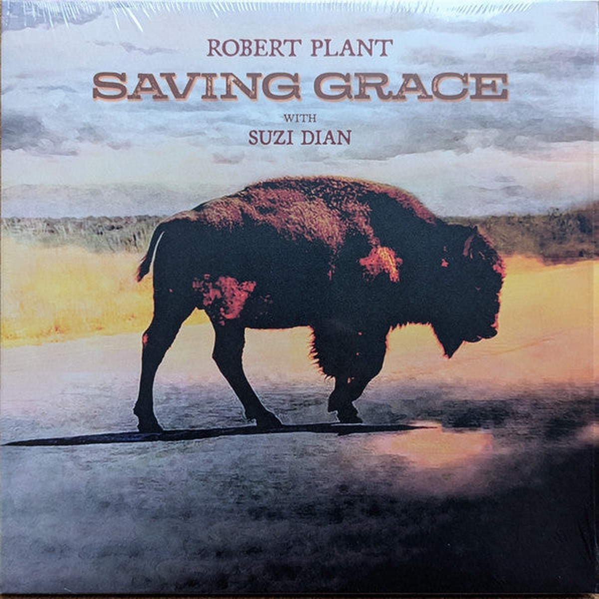 PLANT, ROBERT – SAVING GRACE : BLACK VINYL – LP