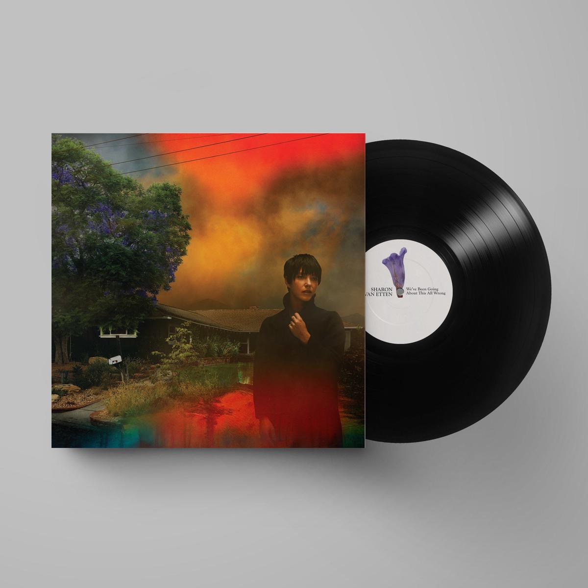 We’ve Been Going About This All Wrong: Vinyl LP