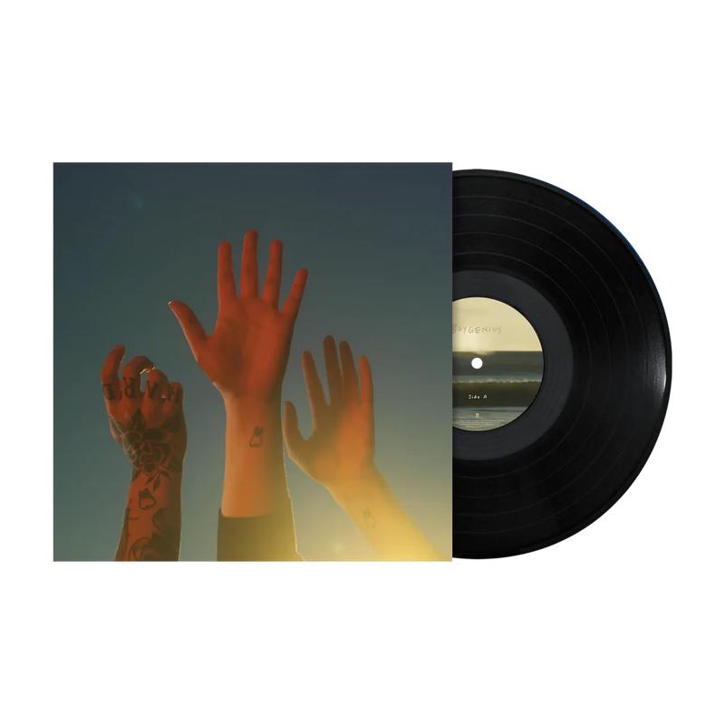 the record vinyl lp [black vinyl]