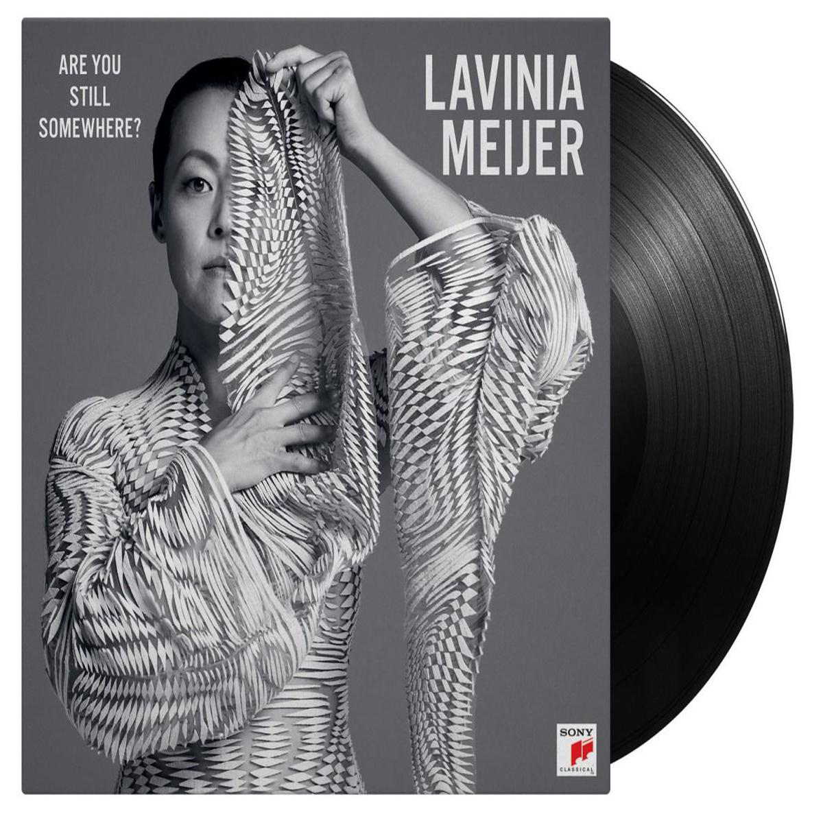 Are You Still Somewhere Vinyl LP
