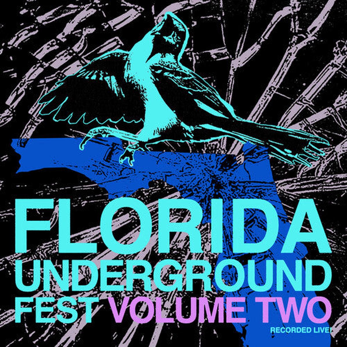Various Artists: Florida Underground Fest 2 (Various Artists) – VINYL LP