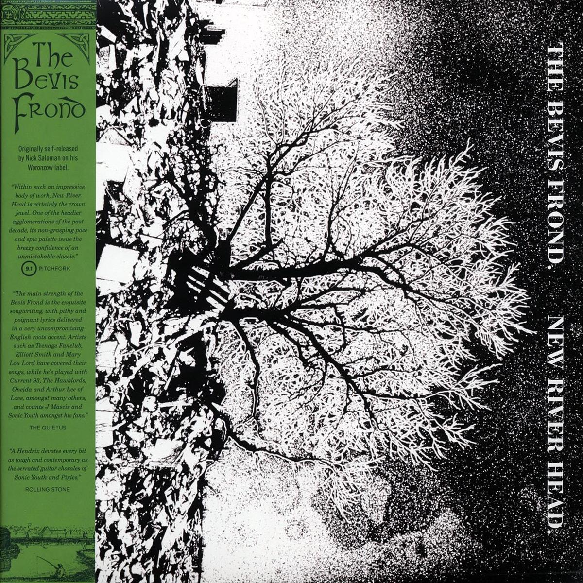 (PRE-ORDER 12/5/25) New River Head (VINYL) | Mint (M) Mint (M) - - ALT/INDIE *NEW*