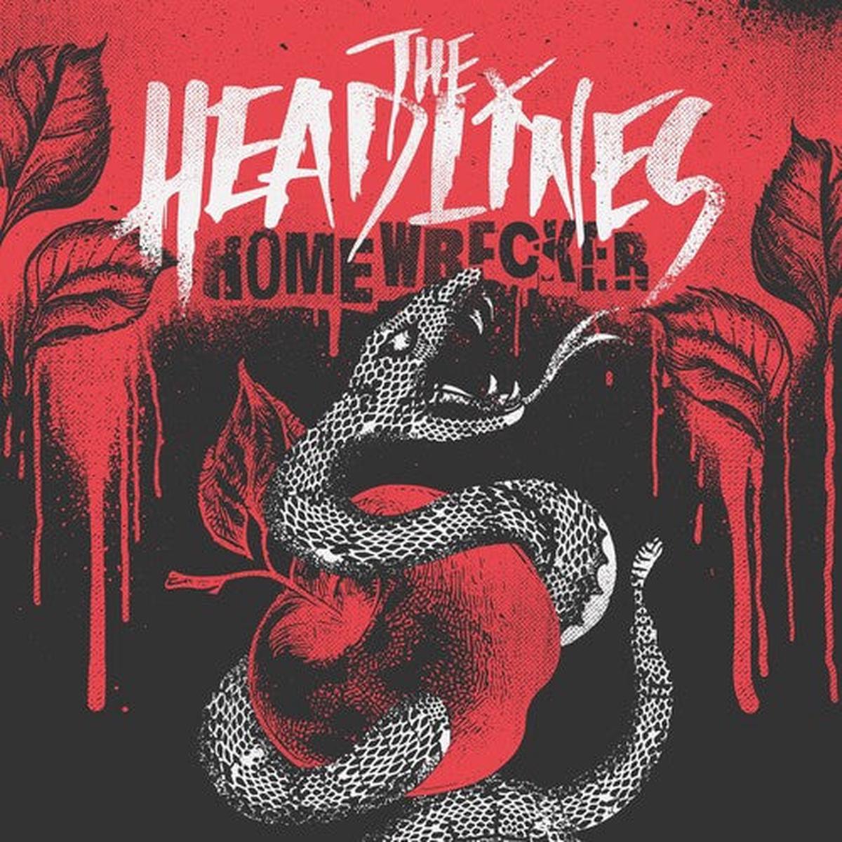 (PRE-ORDER 12/19/2025) Homewrecker - Black/ White Marble Swirl (180 Gram Vinyl, Gatefold LP Jacket) | - - ROCK *NEW/COLOR*