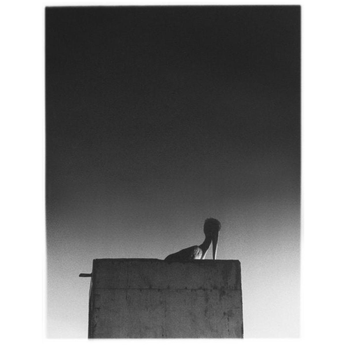 - Sysivalo (2LP+CD)